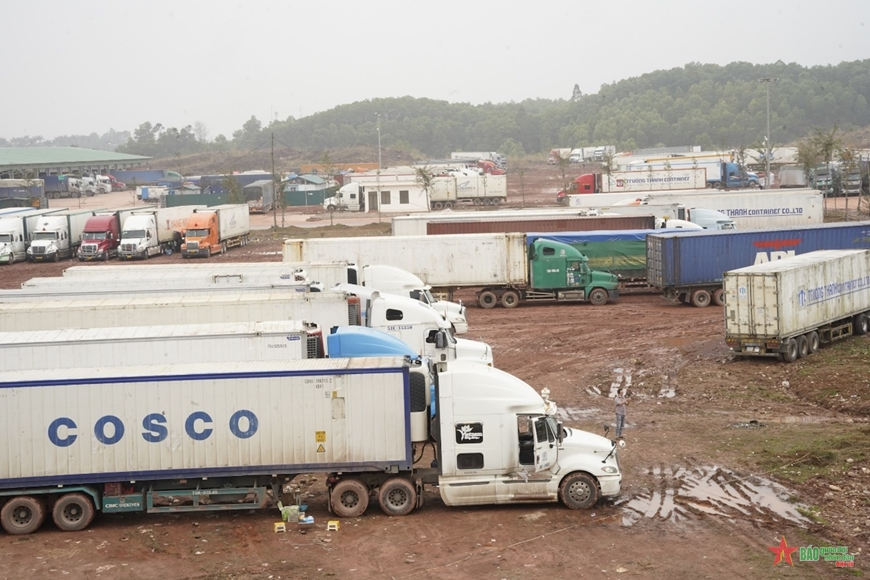 Khơi thông thị trường Trung Quốc quan trọng và tiềm năng